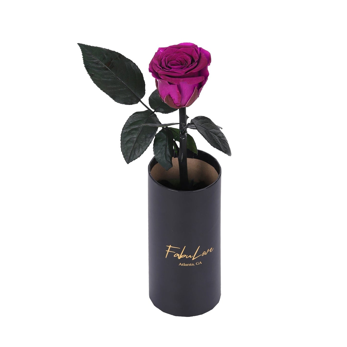 Klasyczna Jedna Wieczna Róża