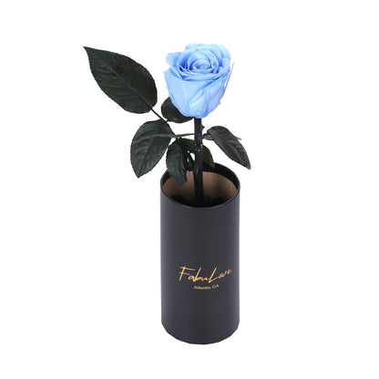 Klasyczna Jedna Wieczna Róża