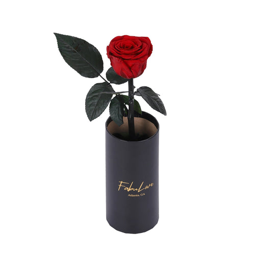 Klasyczna Jedna Wieczna Róża