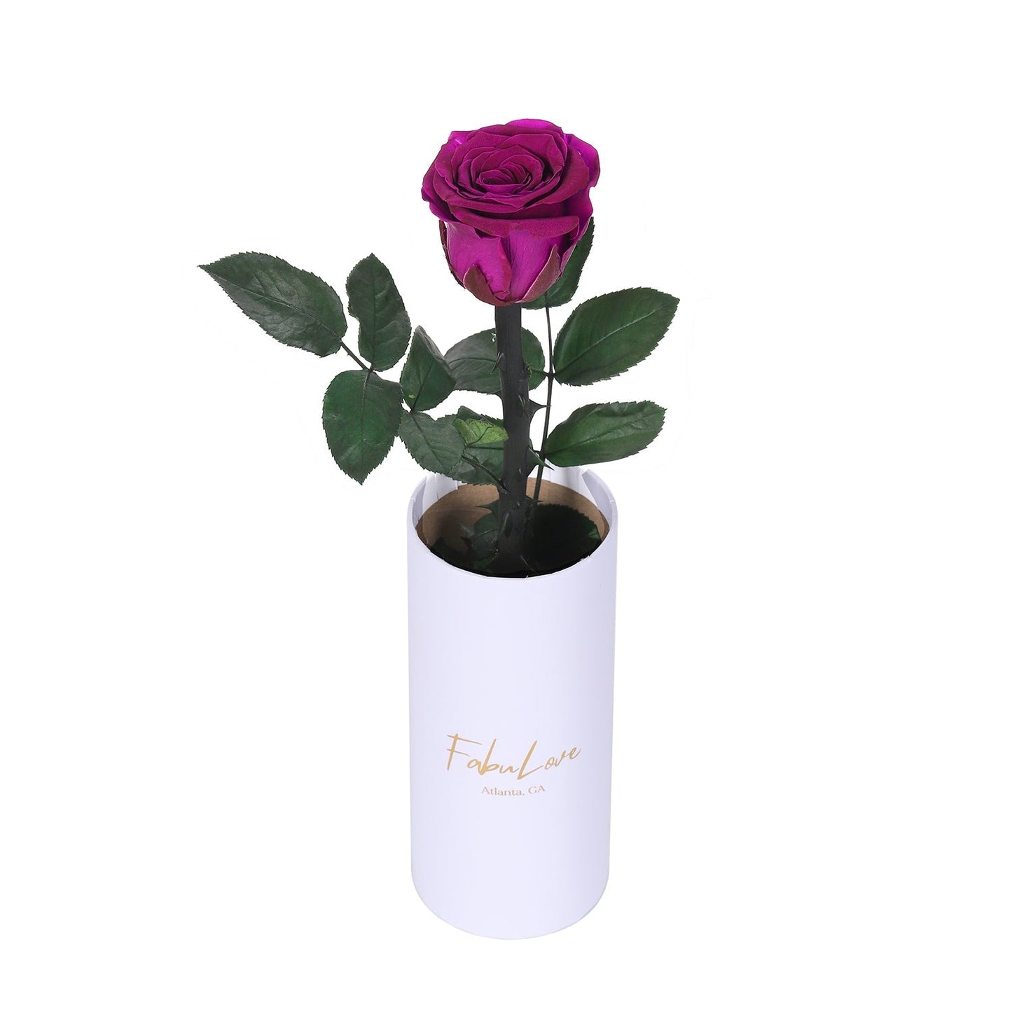 Klasyczna Jedna Wieczna Róża