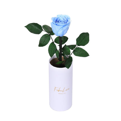 Klasyczna Jedna Wieczna Róża