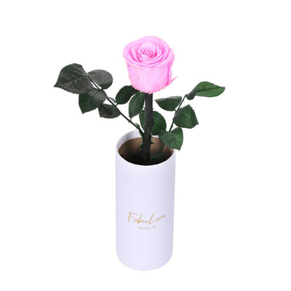 Klasyczna Jedna Wieczna Róża