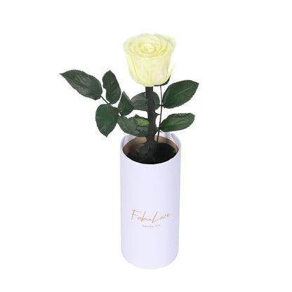 Klasyczna Jedna Wieczna Róża